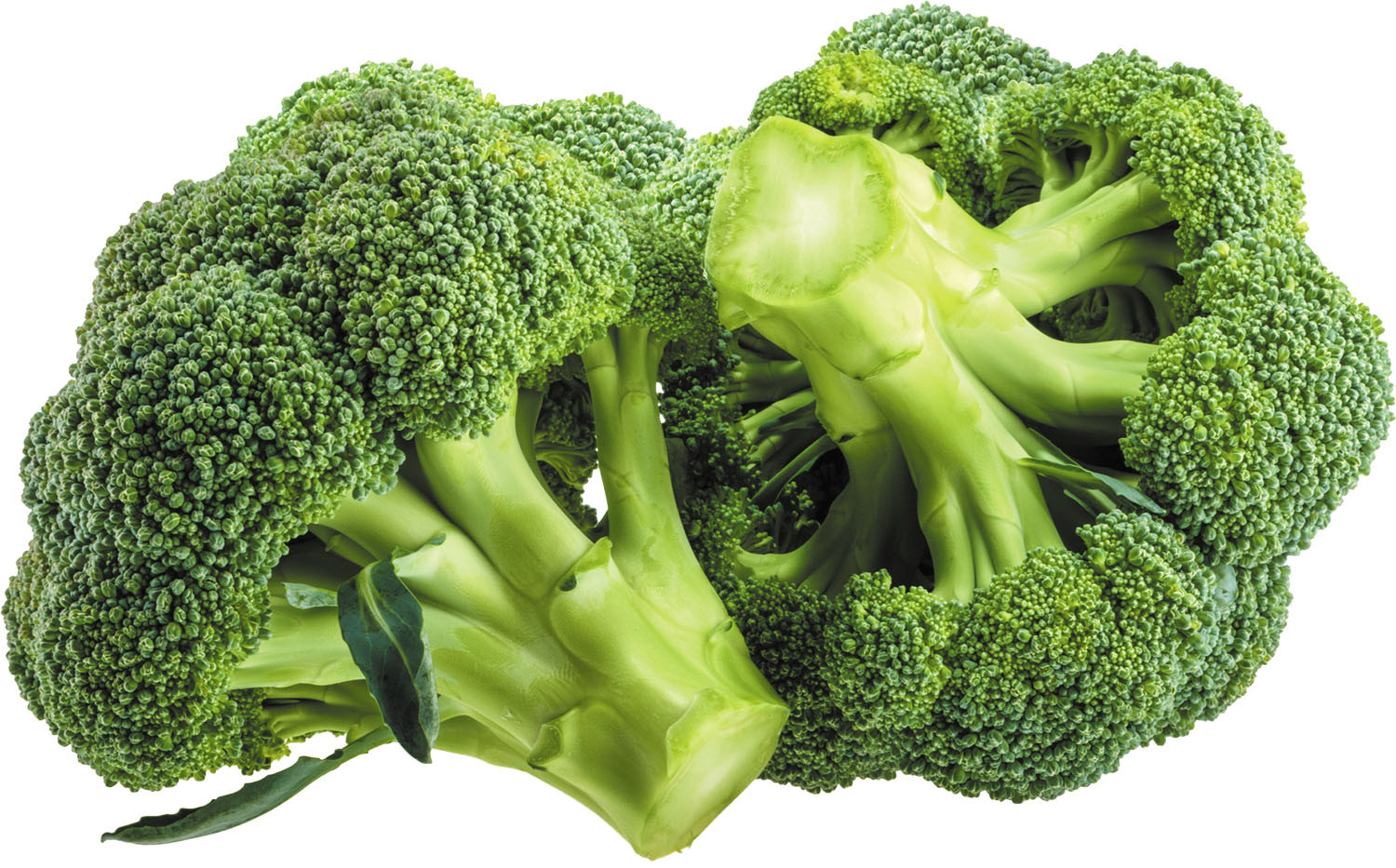 Broccoli (Shishir).