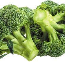 Broccoli (Shishir).