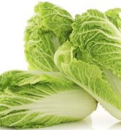 Chinese Cabbage